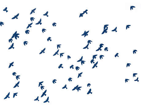 Conférence Fanny Zambaz - Cyanotypes des Alpes