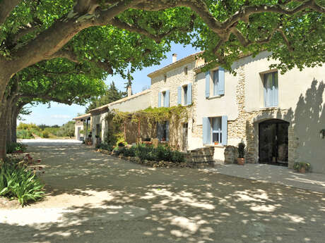 Le Mas Terre des Anges - La Location Marius et Marcelin