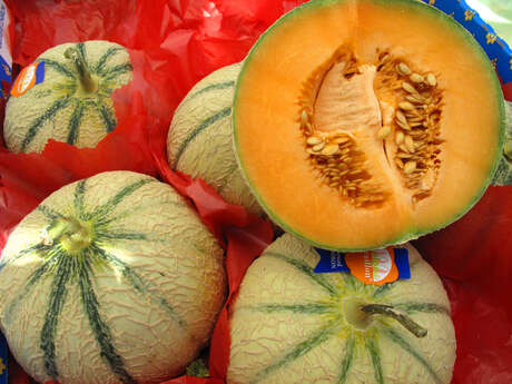 Marché des producteurs de Cavaillon
