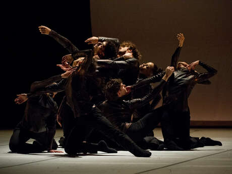 Danse - Rodin