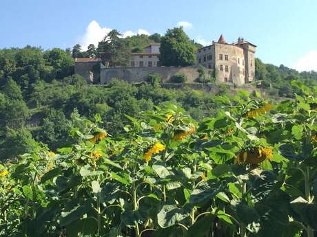 Château de Bellegarde-en-Forez
