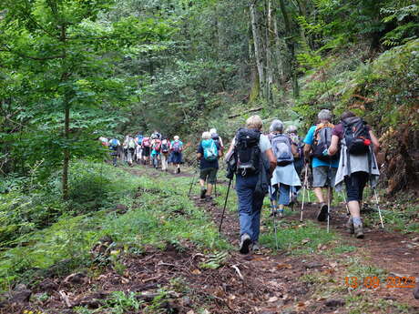 Randonnée de l été
