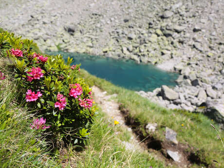 Lac Bleu