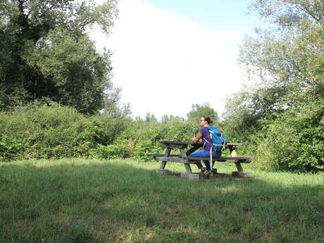 Aire de pique-nique des bords de Loire