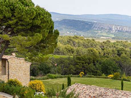 La Guinguette du Mas