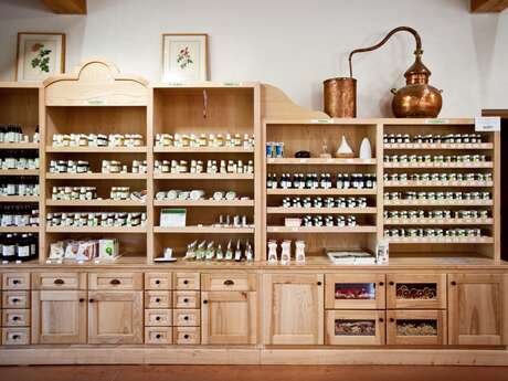 Atelier aromathérapie adulte