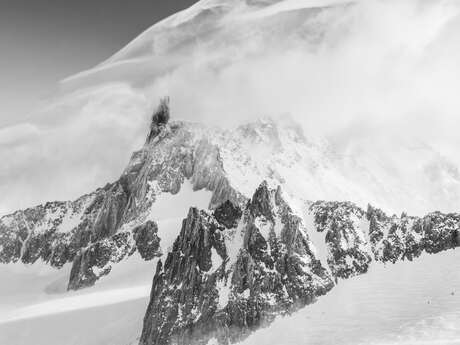 Yannick Ardouin expose au Hameau Albert 1er