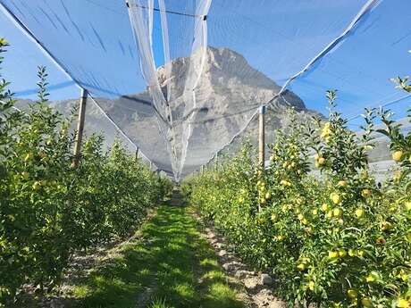 Domaine de la Pradelle