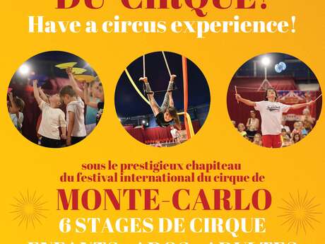 Stages de cirque
