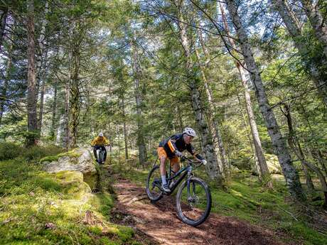 N°90 - Le Bois de la Brugne - Espace VTT Montbrison-Monts du Forez