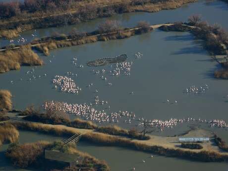 Parc ornithologique de Pont de Gau