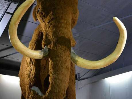 FIRA : Festival de la Randonnée en Cévennes