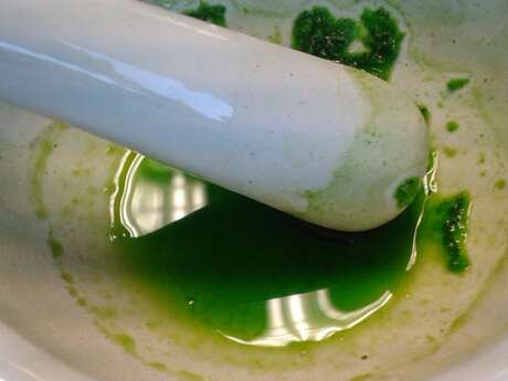 Atelier extraction de pigments et marque page