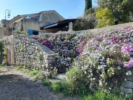 Appartement n°2 - 35m2 + solarium
