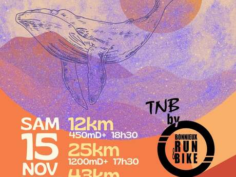 Trail Nocturne de Bonnieux