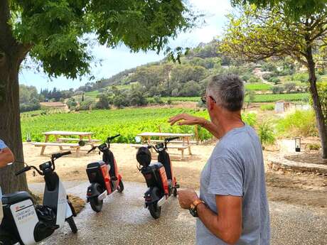 Balade au milieu des vignes