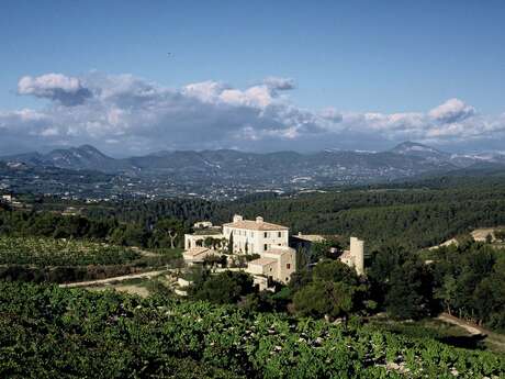 Visite de la cave - Domaine de Mourchon