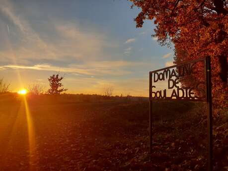 Domaine de Souladiès