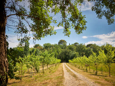 Ferme Saint-Georges en Provence