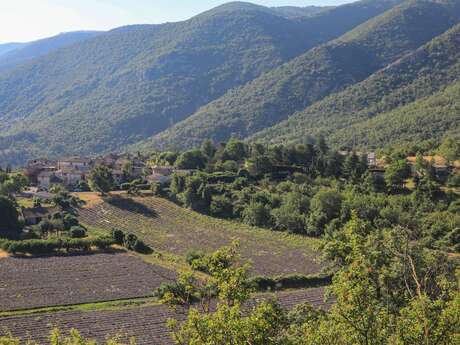 AURIBEAU - Mourre Nègre et biodiversité en chemin