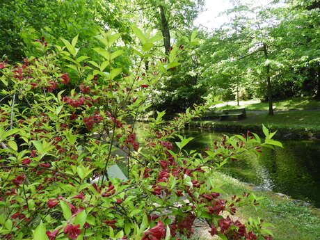 Le parc du Teich