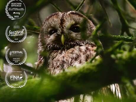 Ciné-débat : Un autre regard