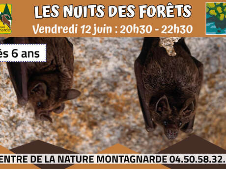 Les Nuits des Forêts