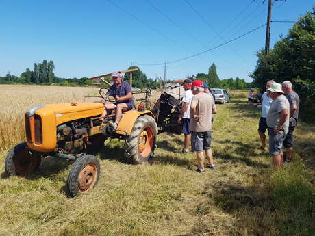 Moisson à l'ancienne