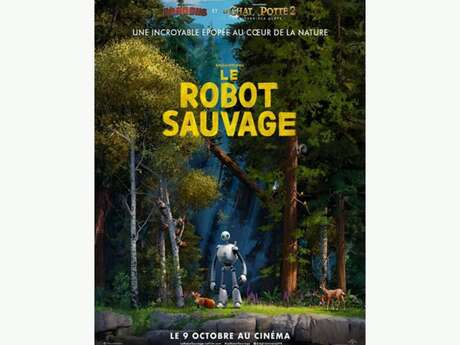 Outdoor film screening of "Le robot sauvage"