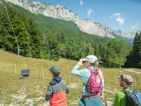 Sortie LPO - Observation des oiseaux