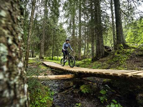 Bike Park First Wheel