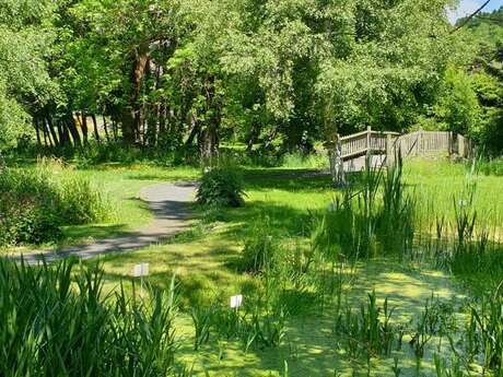 Rencontre avec les bonnes herbes