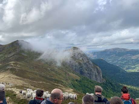 Découverte de l'estive collective du groupement pastoral
