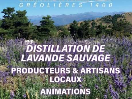 Fête de la Lavande Sauvage