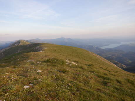 Sommet du Montdenier (1750 m)