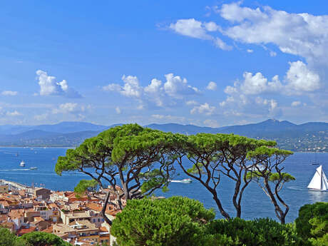 Séjour Marathon du Golfe en demi-pension (Saint-Tropez)