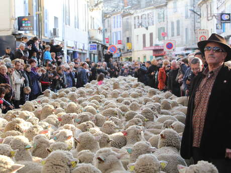 Messe en provençal et Grand défilé de la transhumance