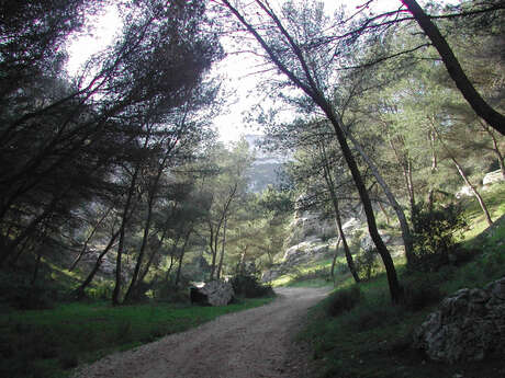 Vallon du Saut