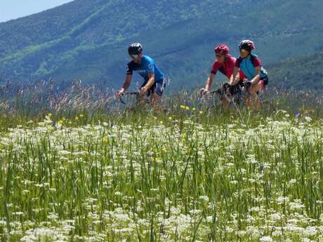 Autour du Risou à vélo (N°2)