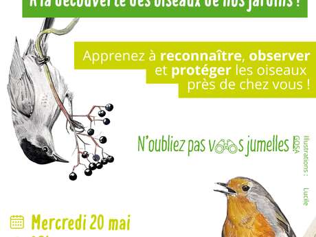 À la découverte des oiseaux de nos jardins !