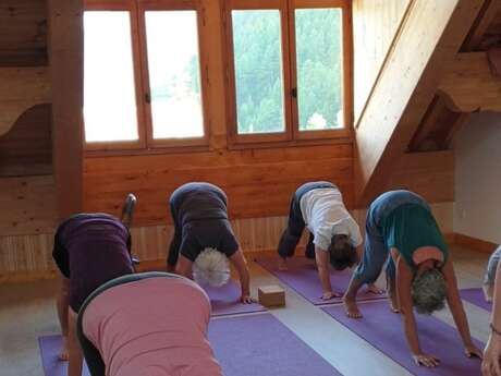 Yoga de La Tortue qui danse : étirements, cardio, reconnexion à soi, mouvements libérateurs