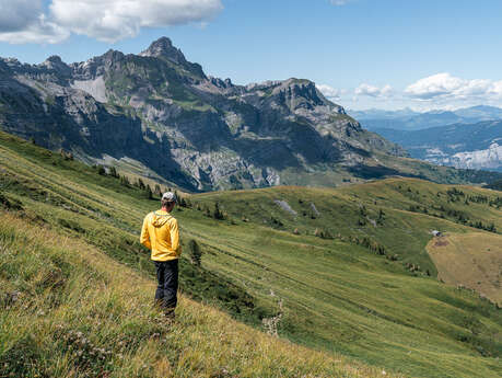 Quand les hommes et les animaux s’harmonisent en montagne