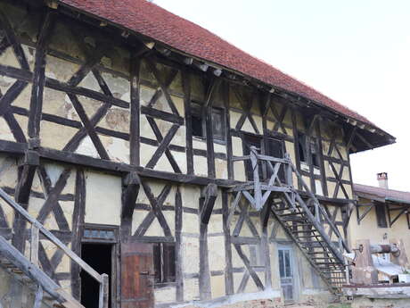 Une visite au manoir de Malmont