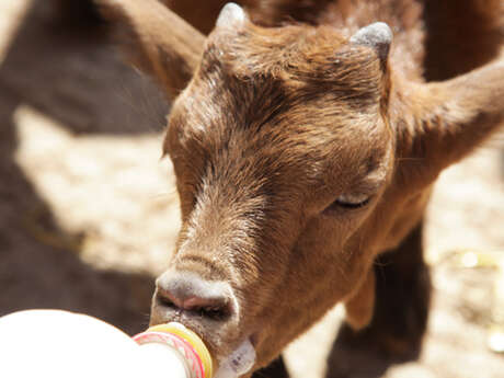 Ferme pédagogique des Pennes Mirabeau