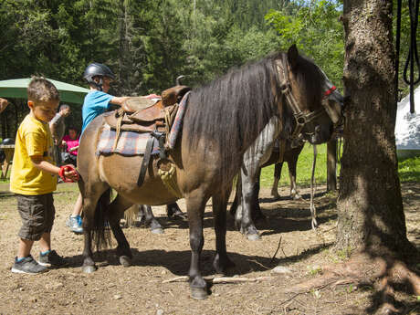 Les poneys du Pontet