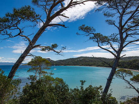 Round trip to Porquerolles with Les Bateliers de la Côte d'Azur