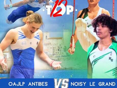 Championnat de France de Gymnastique Artistique Masculine par équipe du TOP 12.