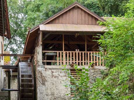 Afternoon of discovery at the Pinget mill