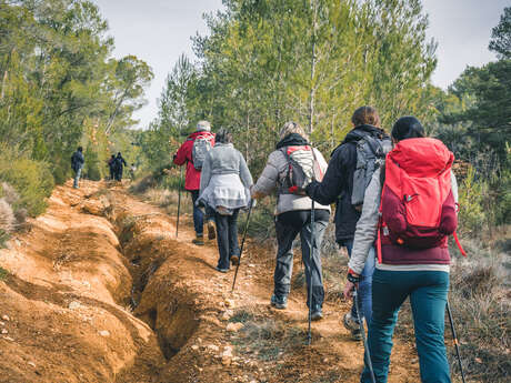 Marche Nordique, balade avec Airfit Provence