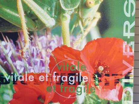 Biodiversity" exhibition